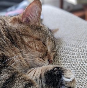 Meet your Posher, Mary kate